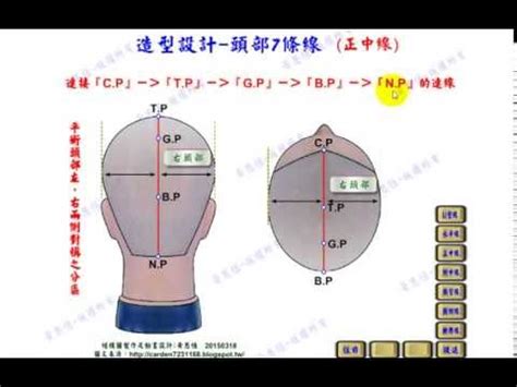 頭部七條基準線|頭部七條基準線真人示範3